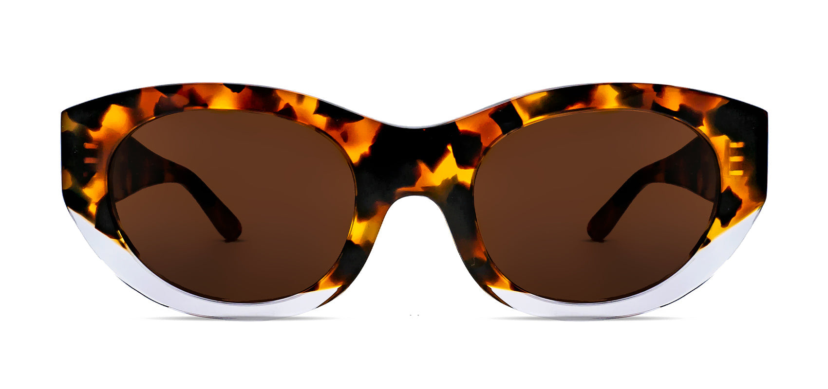 EXOTY 252 Frontal