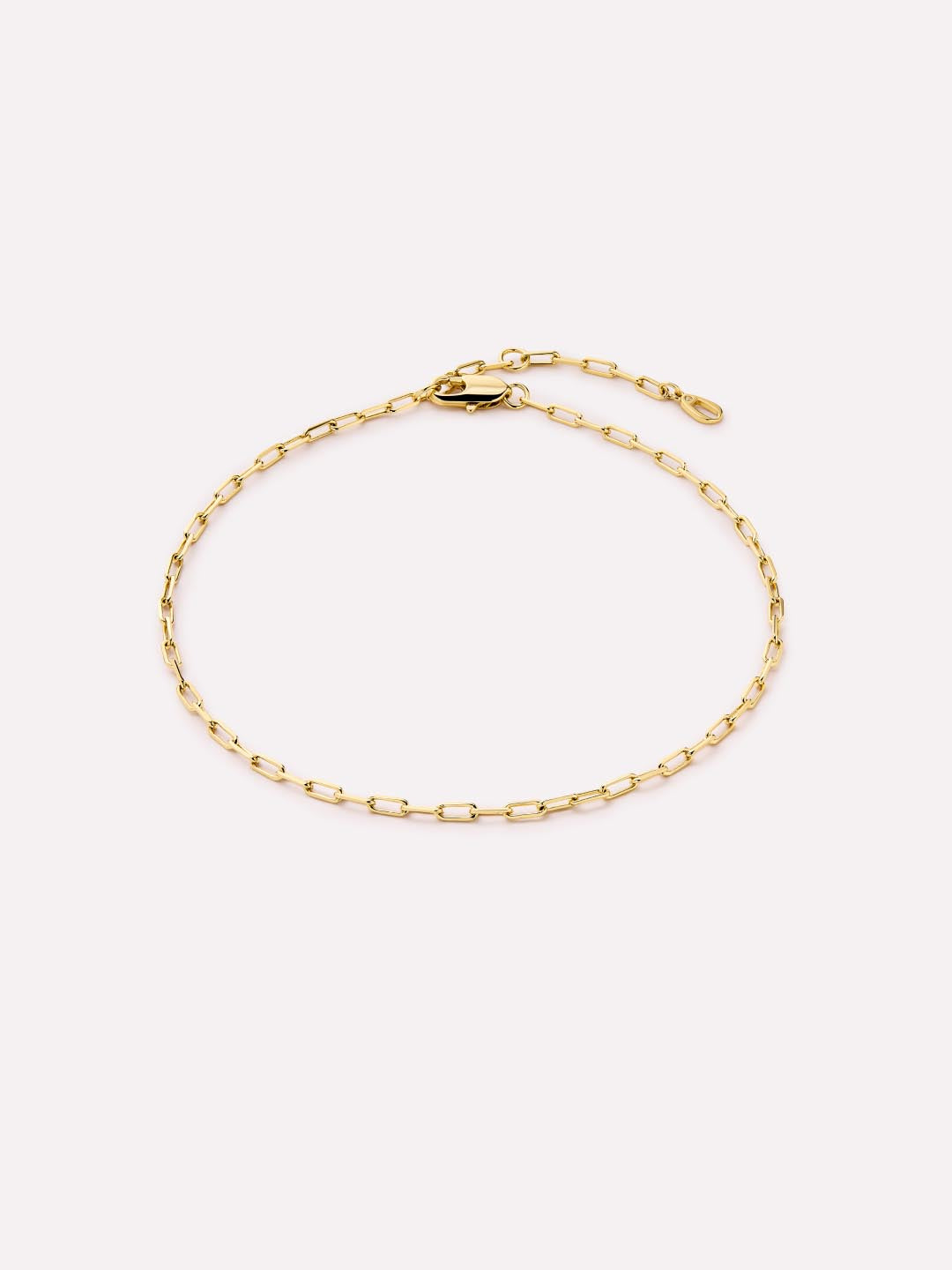 14K Gold Plated Anklets For Women Ana Luisa Reign