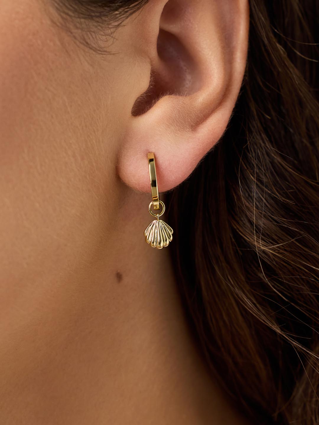 14K Gold Plated Pull On Sea Beach Clamshell Earring Charms For Women Ana Luisa Shell Charms