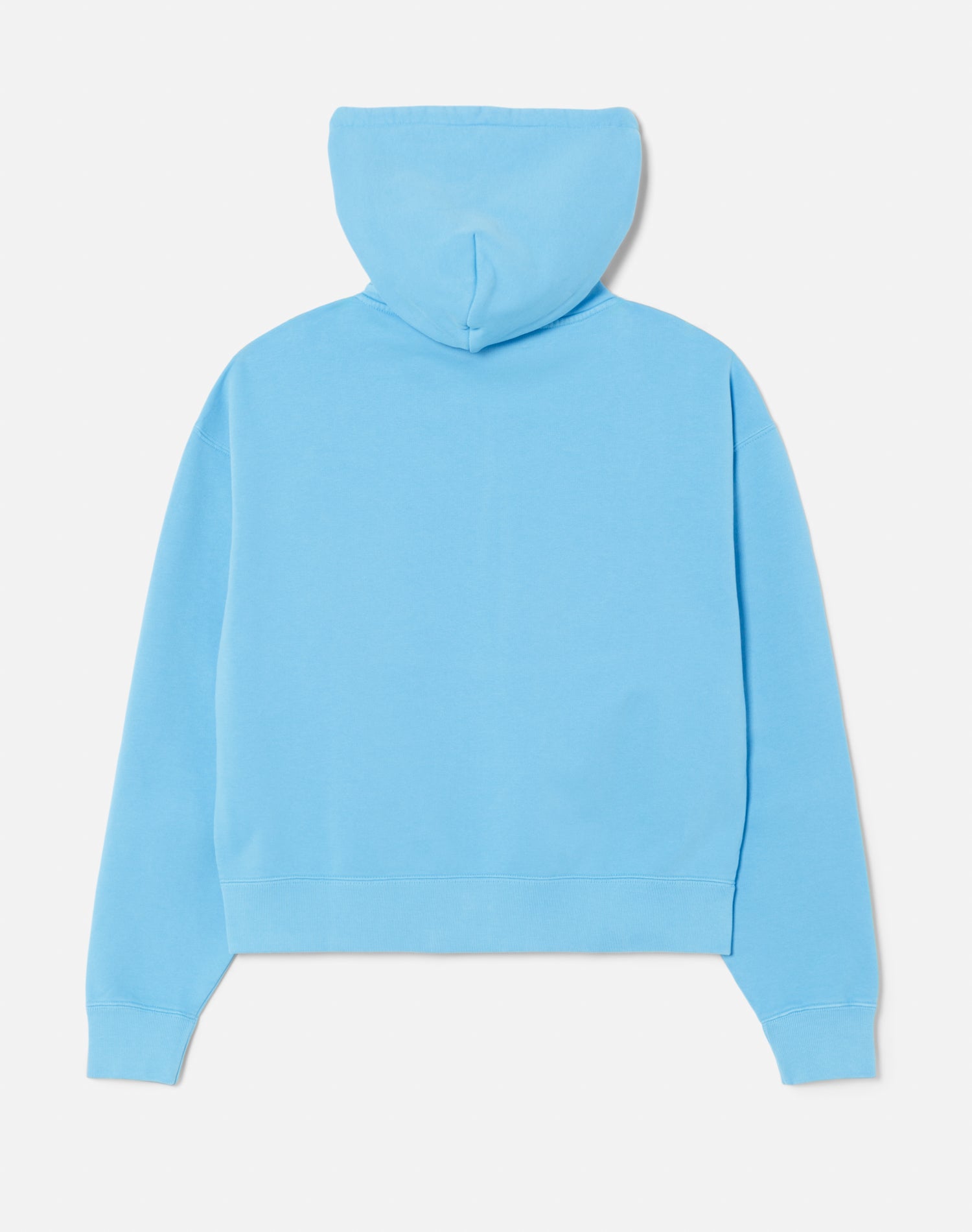 Hanes Relaxed Zip Hoodie | Carolina Blue