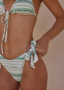 August Bottom | Herb Garden