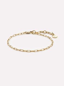 Ana Luisa Jewelry Bracelet Chain Bracelet Link Chain Bracelet Poetry Slim Gold