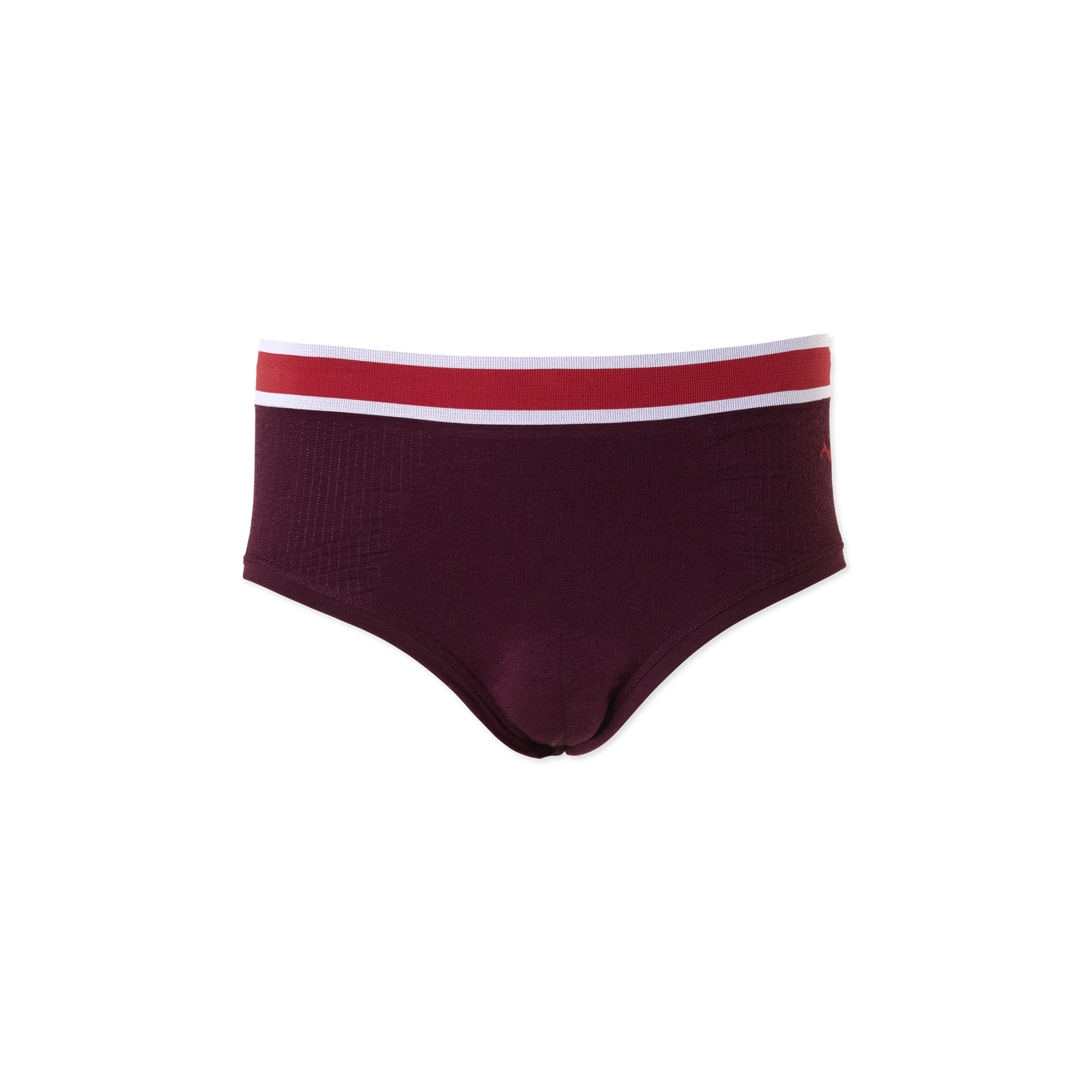 Men's Brighton Briefs | Wine