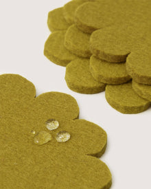 Close-up of olive green, flower-shaped Merino wool coasters by Graf Lantz, inspired by Japanese floral crests. Drops of water highlight their stylish surface protection, with more stacked coasters seen in the background.