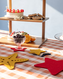 Merino Wool Star Coaster Multi 4 Pack | Americana
