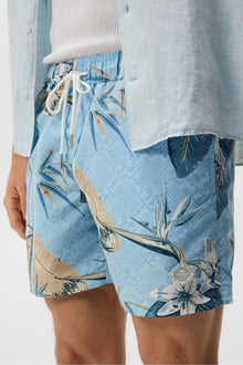 Men | Banks Tropical Switrunks | Drea | Dream Blue