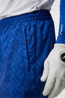 Men | Petrus Print Pant | Blue Painted Bridge