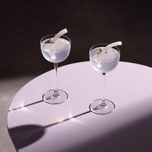 Savage Pony Glasses | Clear Crystal | Set of 2