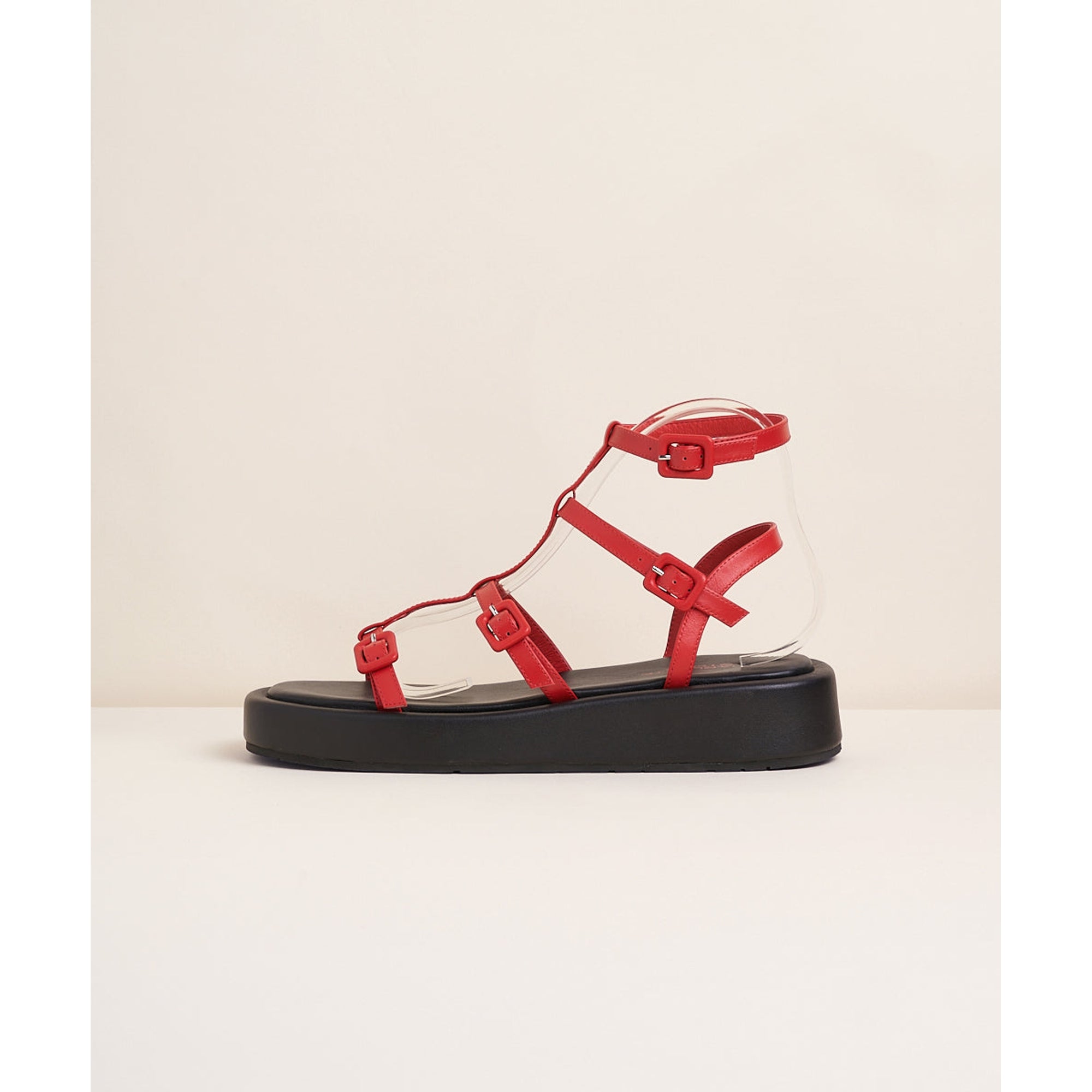 Pika Strappy Gladiator Sandal | Begonia