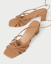 Color: Dune