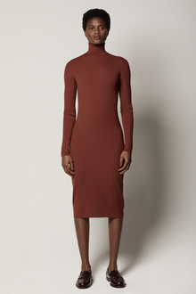 Another Tomorrow Turtleneck Sweater Dress in Rust – Wool Women's Dress