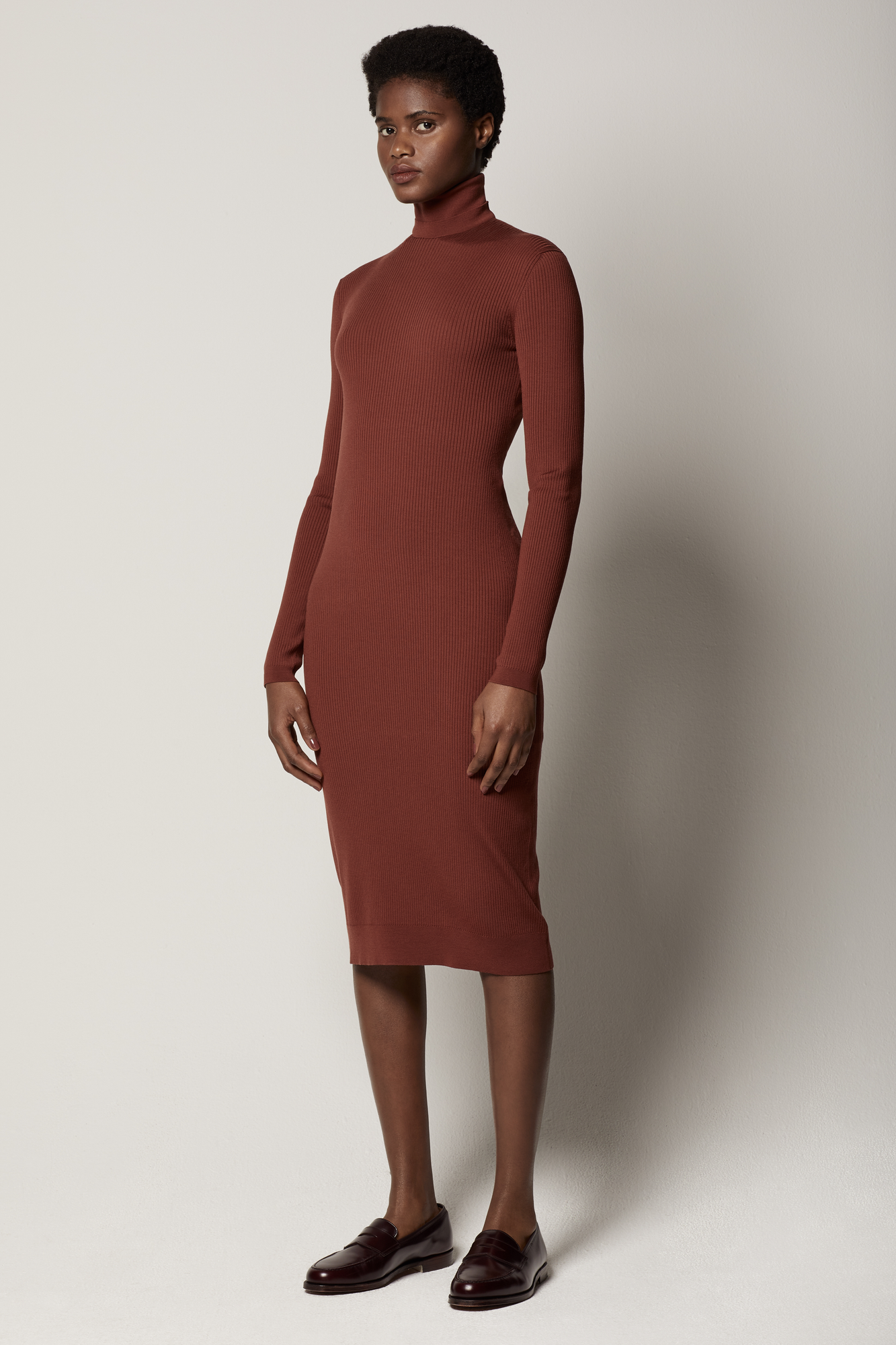 Another Tomorrow Turtleneck Sweater Dress in Rust – Wool Women's Dress
