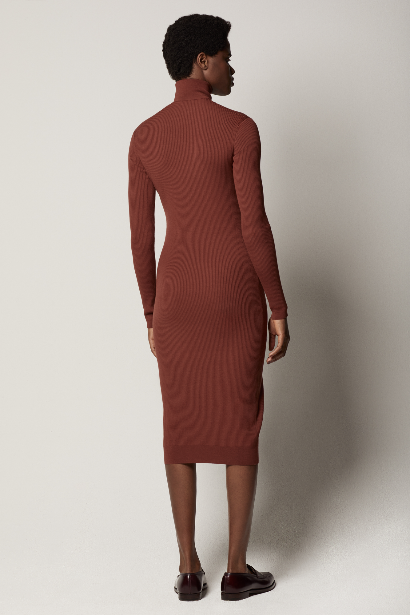 Another Tomorrow Turtleneck Sweater Dress in Rust – Wool Women's Dress