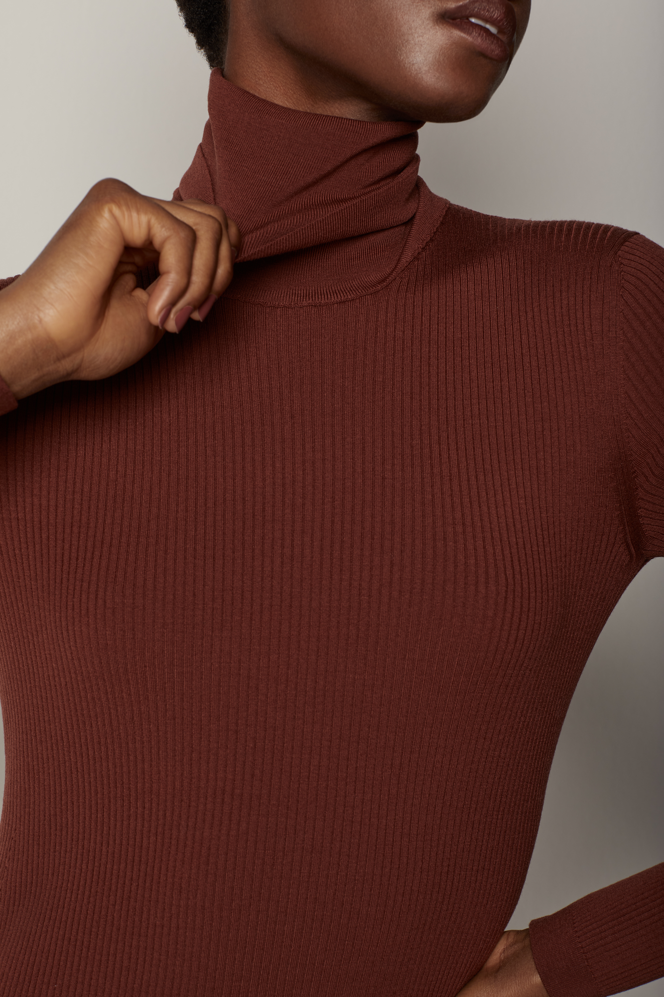 Another Tomorrow Turtleneck Sweater Dress in Rust – Wool Women's Dress