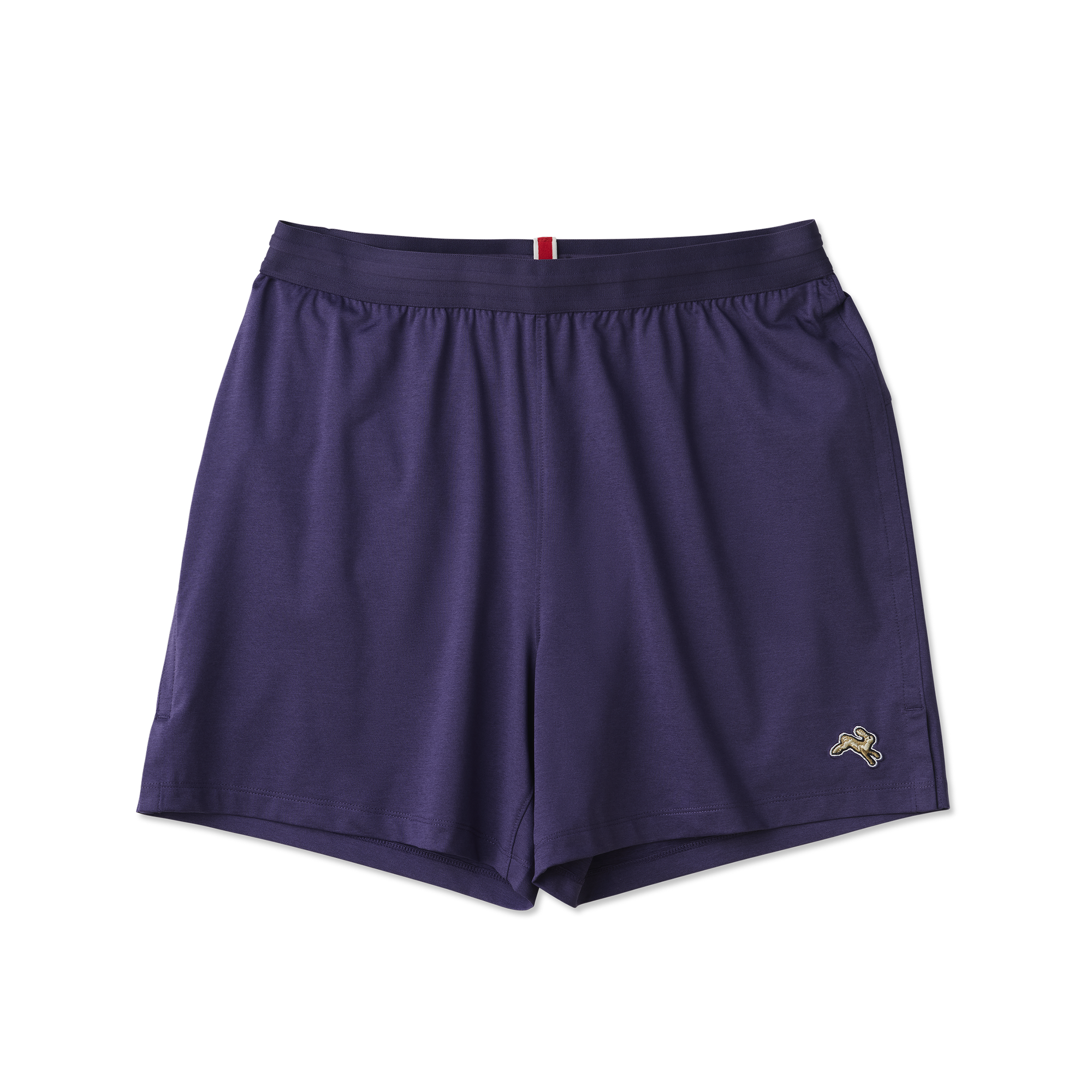 Mens | Session Shorts | Purple Velvet