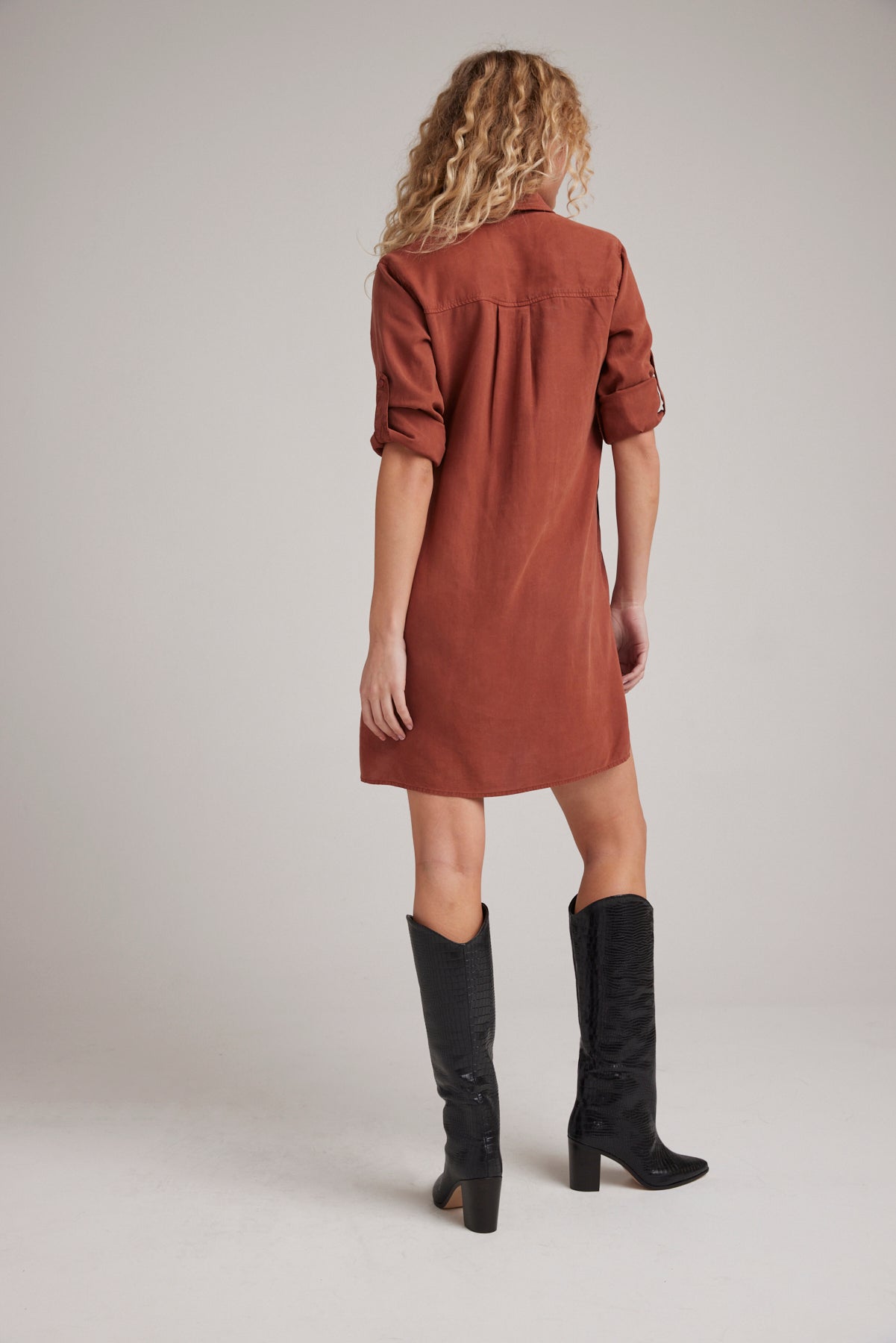 Long Sleeve A-Line Dress - Autumn Amber