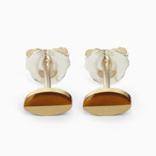 Oval Earrings | Brass | Tiger's Eye