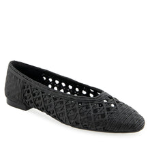 Arnoraff Dress Flat | Black Embroidered Raffia