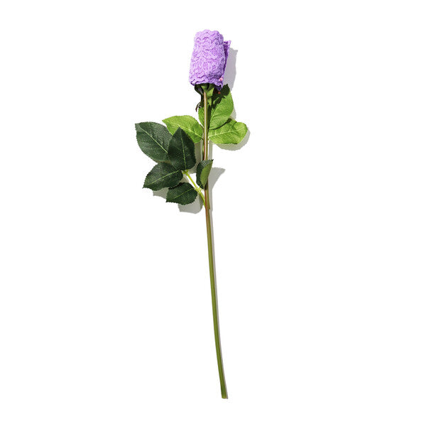 Signature Lace Low Rise Thong | Electric Orchid